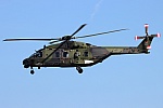 Bild: 25874 Fotograf: Yannick146 Airline: Heeresflieger Flugzeugtype: NH Industries NH90 TTH